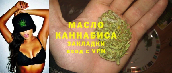 гидра Верхний Тагил