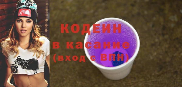 гидра Верхний Тагил