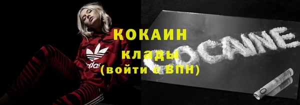 гидра Верхний Тагил