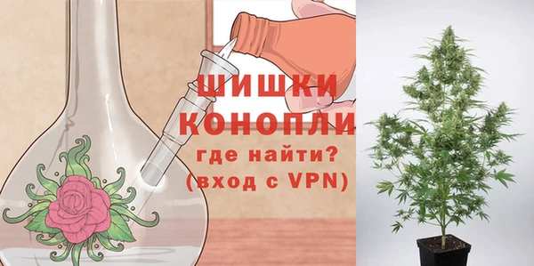 гидра Верхний Тагил